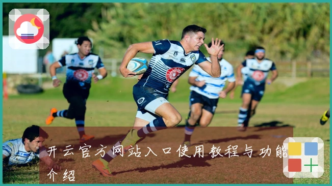 开云官方网站入口使用教程与功能介绍